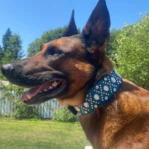 Meet your Posher, Kristen